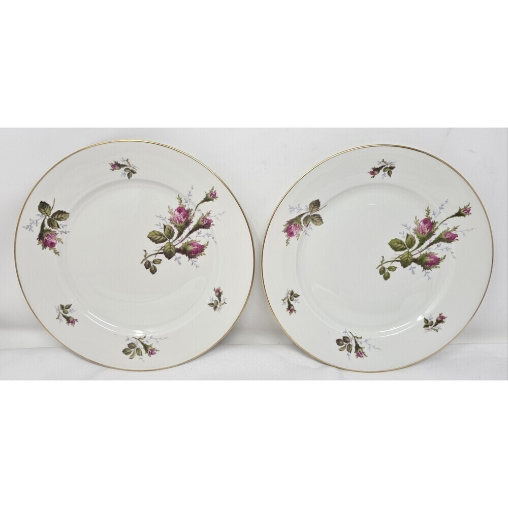 Vintage Rosenthal Petal Lane Moss Rose 7 3/4" Salad Plates Set Of 2 NEAR MINT